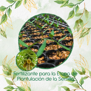 Fertilizantes Individuales Para Papaya