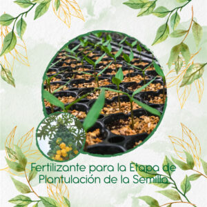 Fertilizantes Individuales Para Papayuela