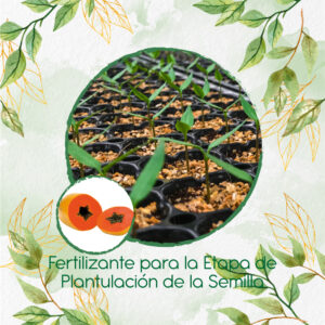 Fertilizantes Individuales Para Papaya Maradol