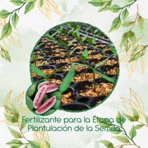 Fertilizantes Individuales Para Sandia Charleston
