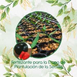 Fertilizantes Individuales Para Sandia Sugar Baby