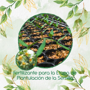 Fertilizantes Individuales Para Uchuva