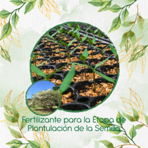 Fertilizantes Individuales Para Móncoro