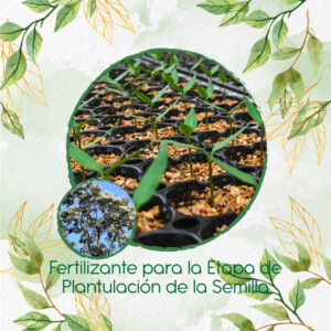 Fertilizantes Individuales Para Nogal Cafetero