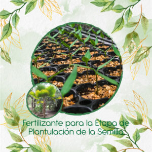 Fertilizantes Individuales Para Palma Abanico