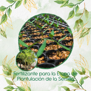 Fertilizantes Individuales Para Palma Areca