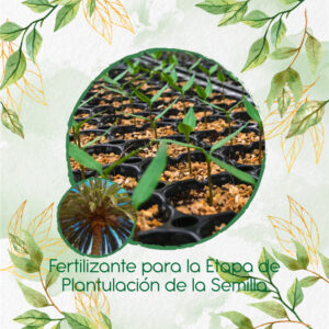 Fertilizantes Individuales Para Palma Canariensis