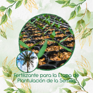 Fertilizantes Individuales Para Palma De Cera