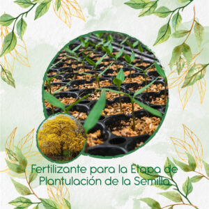 Fertilizantes Individuales Para Guayacán Amarillo