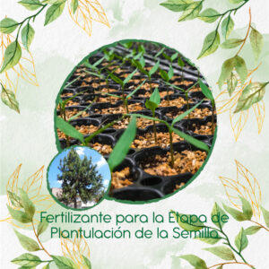 Fertilizantes Individuales Para Pino Caribe