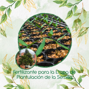 Fertilizantes Individuales Para Pino Romerón