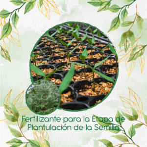 Fertilizantes Individuales Para Pino Tecunumani