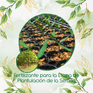 Fertilizantes Individuales Para Teca Escarif Rodal