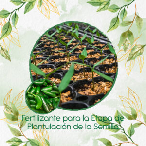 Fertilizantes Individuales Para Ají Jalapeño
