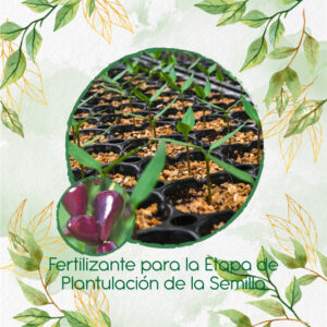 Fertilizantes Individuales Para Ají Habanero Morado