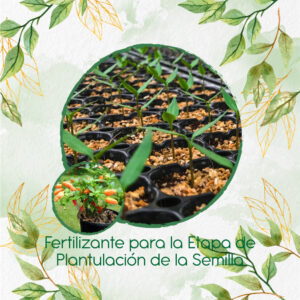 Fertilizantes Individuales Para Ají Habanero Naranja