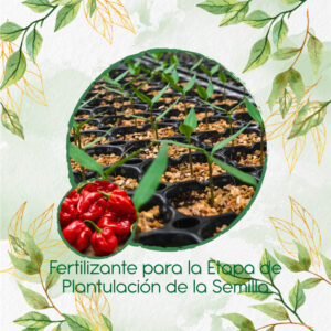 Fertilizantes Individuales Para Ají Habanero Rojo
