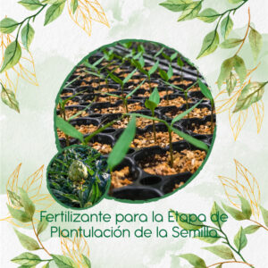 Fertilizantes Individuales Para Alcachofa