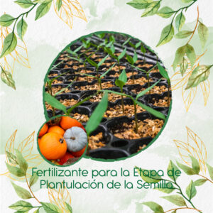 Fertilizantes Individuales Para Auyama