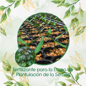 Fertilizantes Individuales Para Higuerilla