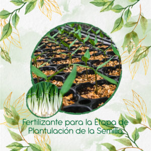 Fertilizantes Individuales Para Cebolla Larga