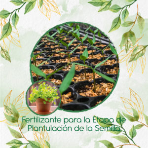 Fertilizantes Individuales Para Cilantro