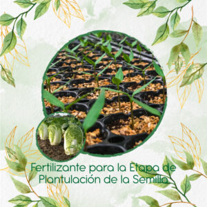 Fertilizantes Individuales Para Col China