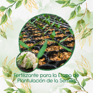 Fertilizantes Individuales Para Coliflor