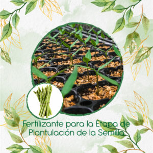 Fertilizantes Individuales Para Espárragos