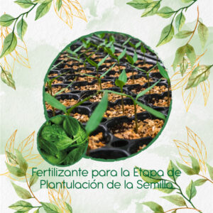 Fertilizantes Individuales Para Espinaca