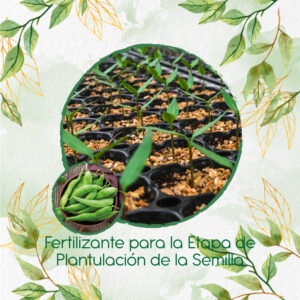Fertilizantes Individuales Para Habichuela