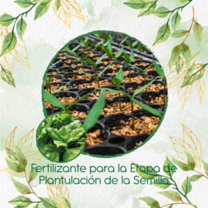 Fertilizantes Individuales Para Espinaca Rastrera