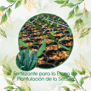 Fertilizantes Individuales Para Kale Toscano