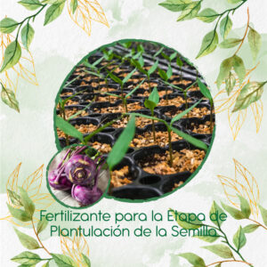Fertilizantes Individuales Para Kohlrabi Rojo