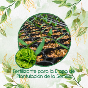 Fertilizantes Individuales Para Lechuga Batavia