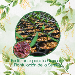 Fertilizantes Individuales Para Lechuga Morada