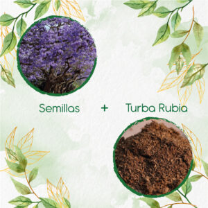 Kits De Siembra Para Gualanday