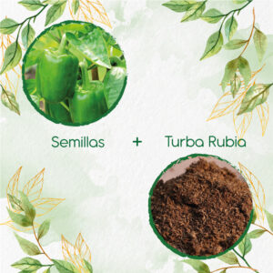 Kits De Siembra Para Pimentón