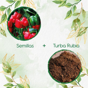 Kits De Siembra Para Pimentón California