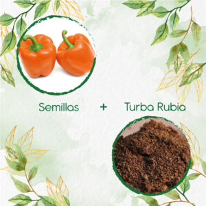 Kits De Siembra Para Pimentón Naranja
