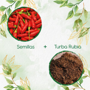 Kits De Siembra Para Pimentón Peperoncino Italiano