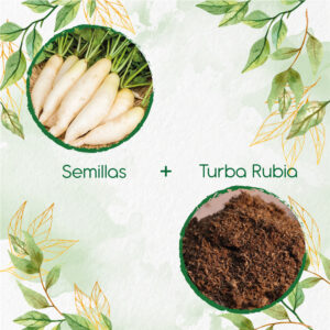 Kits De Siembra Para Rábano Blanco Daikon