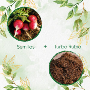 Kits De Siembra Para Rábano Cherry