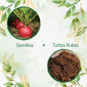 Kits De Siembra Para Rábano Crimson