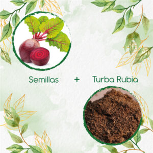 Kits De Siembra Para Remolacha
