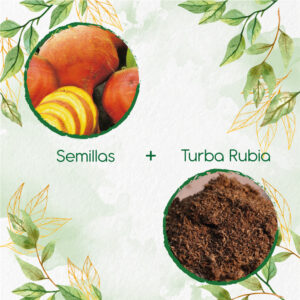 Kits De Siembra Para Remolacha Amarilla