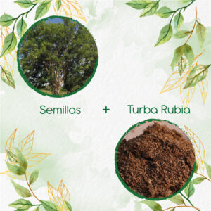 Kits De Siembra Para Matarratón