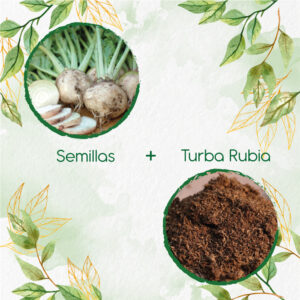 Kits De Siembra Para Remolacha Blanca