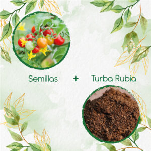 Kits De Siembra Para Tomate Cherry Perla