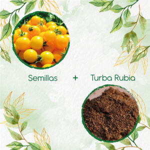 Kits De Siembra Para Tomate Cherry Amarillo